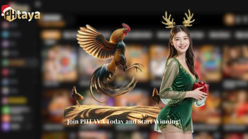 Join PHTAYA Today - Your Sabong Journey Starts Now